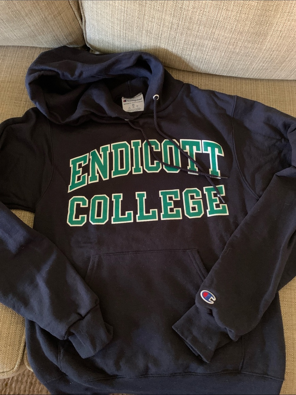 Champion Navy Endicott College Zip-Up Hoodie